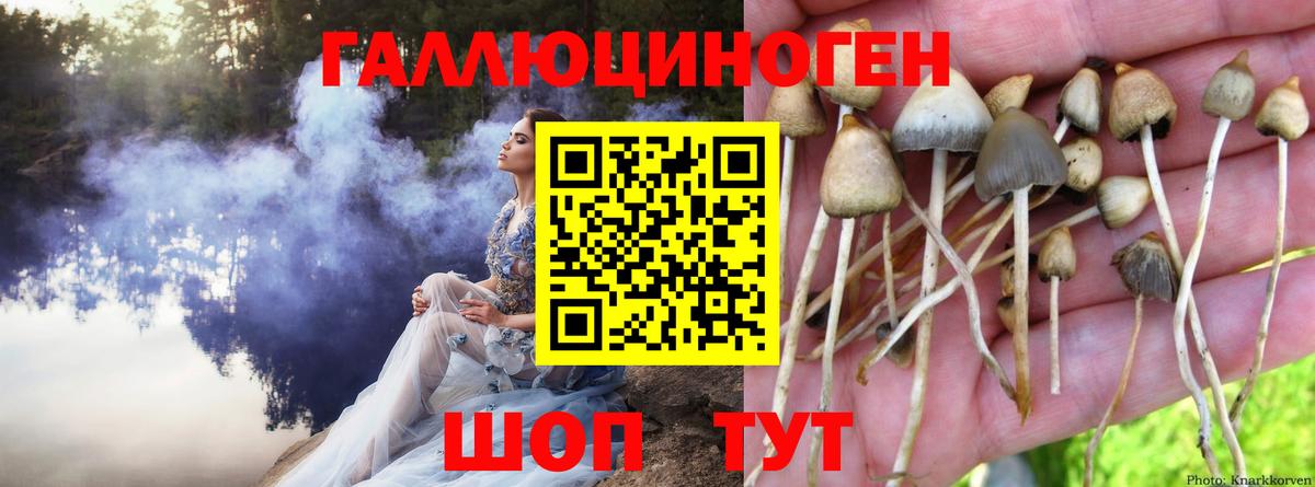 Воронеж  Псилоцибиновые грибы мицелий  Псилоцибиновые грибы ЛСД  Вход с VPN 